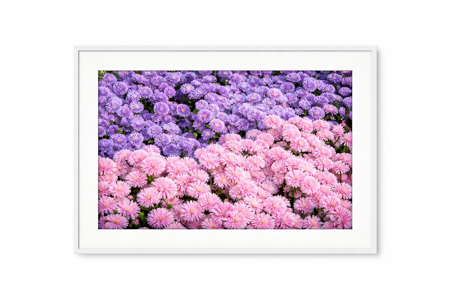 LAMINA DECORATIVA ASTER EN DOS TONOS
