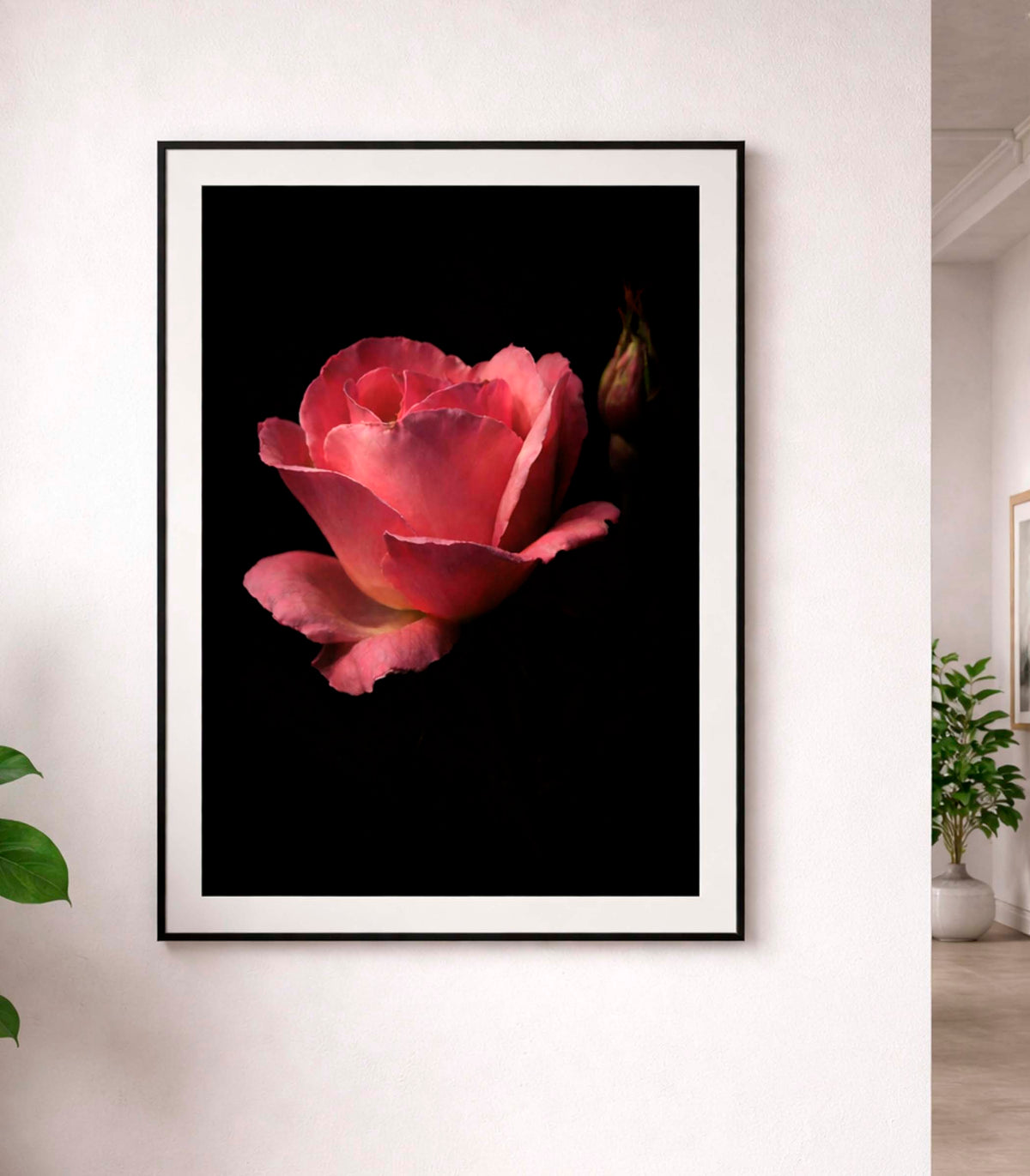 LAMINA DECORATIVA  "ROSA SOBRE FONDO NEGRO"