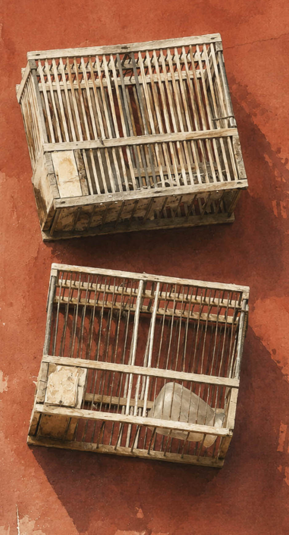 LAMINA DECORATIVA. DOS JAULAS. BARRIO DE SANTA CRUZ ALICANTE